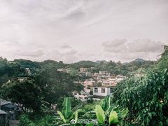 -南丫岛