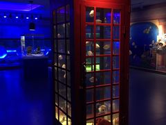 -萌宠奇缘(荣鼎店)