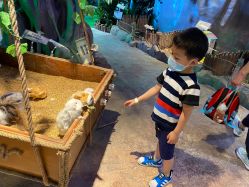 -酷嗒动物文化乐园(cutezoo西溪乐天城店)