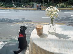 -欧邑咖啡小站 HLab Coffee