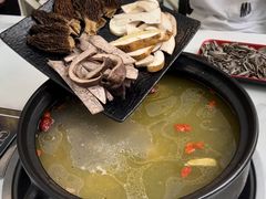 -蘑统田下·野生菌火锅