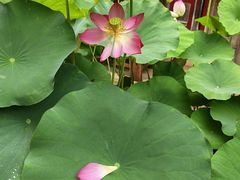 -田园印象·成都土菜院子(华阳店)