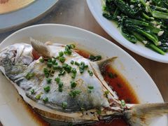 -明记海鲜大排档(巽寮湾店)