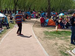 -丁香湖公园