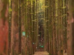 -山王坪喀斯特国家生态公园