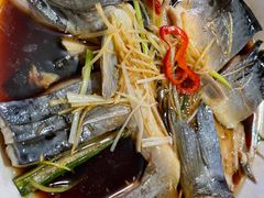 -煲来饱去冷水鱼