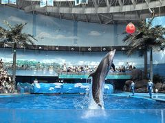-海合安成都极地海洋公园