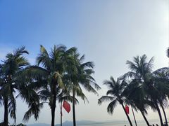 -深圳湾公园(南山区)