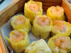 -魁牛·潮汕牛肉自助火锅(沈辽路万达店)