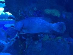 -成都浩海立方海洋公园