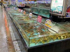 水产区-渔民新村(番禺总店)