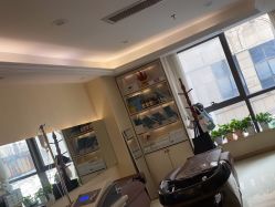 -碧莲盛·不剃发植发