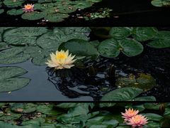 -郭庄景区