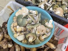 -双喜农庄·菌香园(安居家园店)