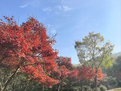 -九龙潭景区