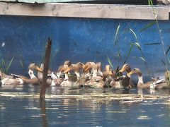 -白塘生态植物园