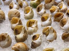 爱尔兰海螺-四海一家自助餐(益田假日广场店)