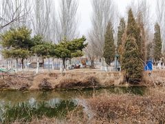 -长白岛森林公园