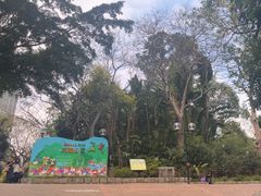 -九龙公园