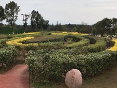 -铁山坪森林公园