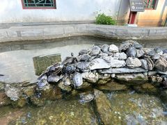 -红螺寺