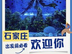 -石家庄极地海洋世界
