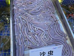 -欢乐海岸美食联盟
