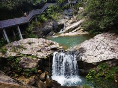 -广州白江湖森林公园