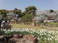 -苏州上方山国家森林公园