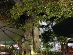 -云境生态园(红谷滩店)