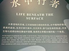 -中国湿地博物馆