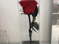 -ROSEONLY诺誓(广州K11店)