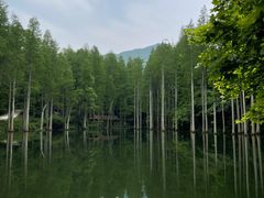 -波尔登森林公园