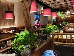 -老阿爸鲜鱼土菜(独墅湖店)