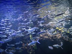 -华夏文旅西安度假区