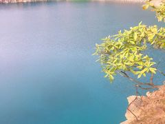 -树山生态村