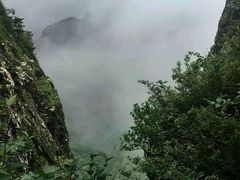 -牛背梁国家森林公园