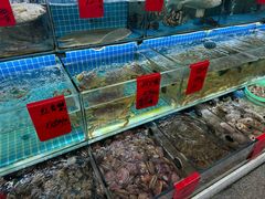 -洲晓鲜·舟山海鲜大排档(朱家尖风景区店)