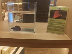 -御海8号温泉酒店