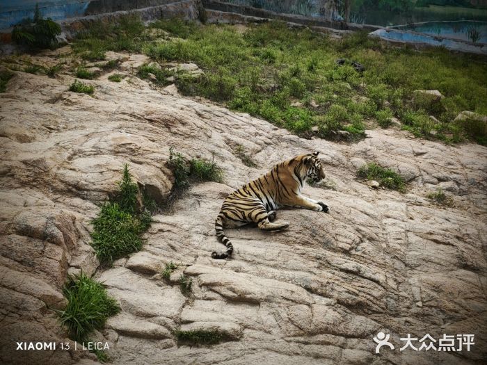 西霞口神雕山野生动物世界图片