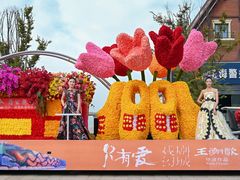 -荷兰花海