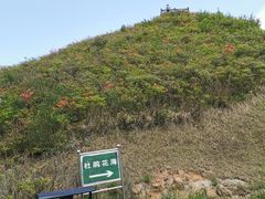 -大围山国家森林公园