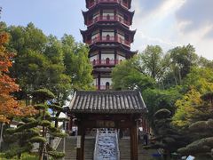 -绳金塔