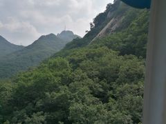 -大鹿岛