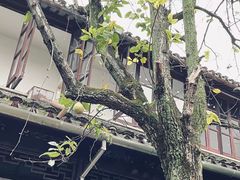 -西园戒幢律寺
