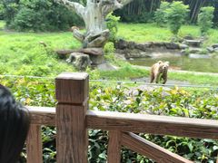 -宁波野生动物园