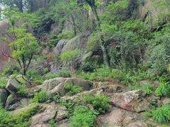 -泰山风景名胜区