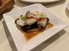 古法蒸老虎斑-利苑酒家(金宝店)