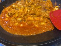 -红辣椒八爪鱼特色韩国料理