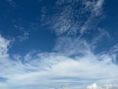 -呼兰河口湿地公园